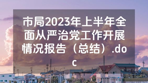市局2023年上半年全面从严治党工作开展情况报告（总结）.doc