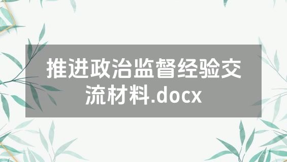 推进政治监督经验交流材料.docx