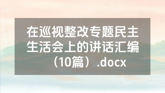 在巡视整改专题民主生活会上的讲话汇编（10篇）.docx