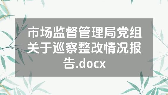 市场监督管理局党组关于巡察整改情况报告.docx