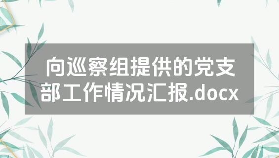 向巡察组提供的党支部工作情况汇报.docx