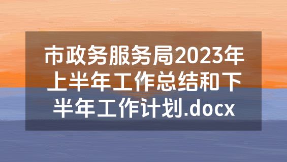 市政务服务局2023年上半年工作总结和下半年工作计划.docx