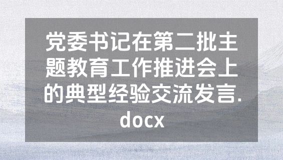 党委书记在第二批主题教育工作推进会上的典型经验交流发言.docx