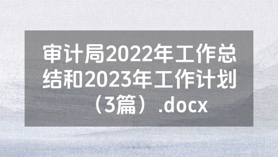 审计局2022年工作总结和2023年工作计划（3篇）.docx