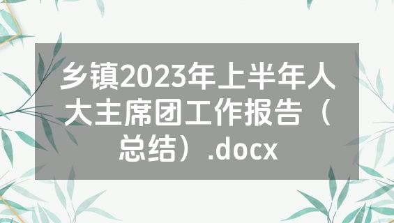 乡镇2023年上半年人大主席团工作报告（总结）.docx