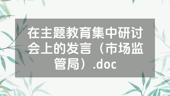 在主题教育集中研讨会上的发言（市场监管局）.doc