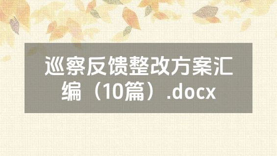 巡察反馈整改方案汇编（10篇）.docx
