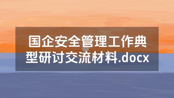 国企安全管理工作典型研讨交流材料.docx
