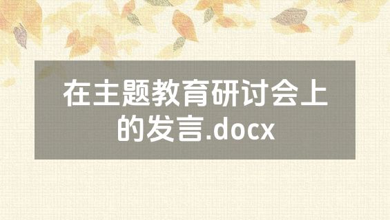 在主题教育研讨会上的发言.docx