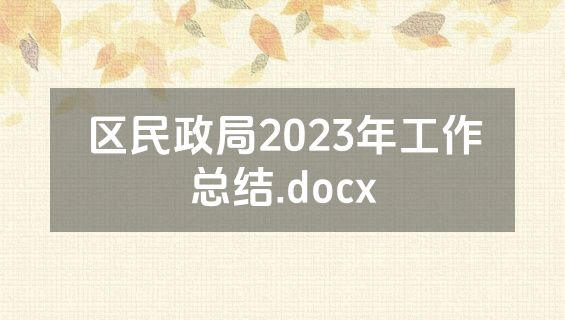区民政局2023年工作总结.docx