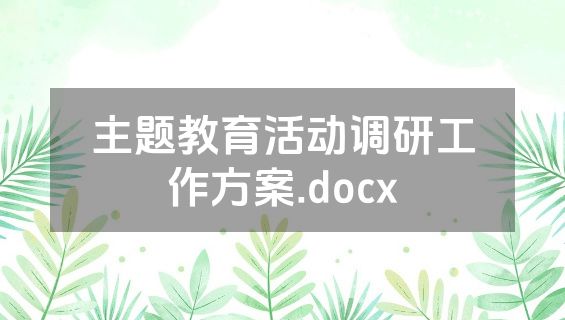 主题教育活动调研工作方案.docx