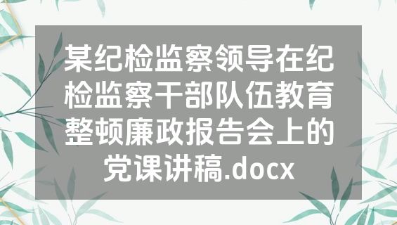 某纪检监察领导在纪检监察干部队伍教育整顿廉政报告会上的党课讲稿.docx