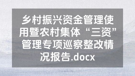 乡村振兴资金管理使用暨农村集体“三资”管理专项巡察整改情况报告.docx
