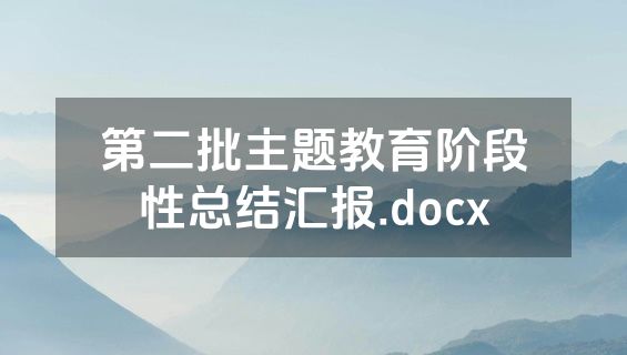 第二批主题教育阶段性总结汇报.docx