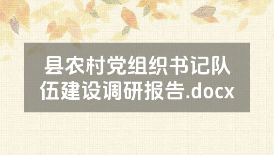 县农村党组织书记队伍建设调研报告.docx