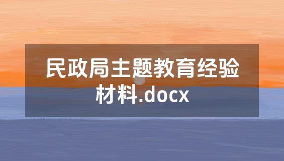 民政局主题教育经验材料.docx