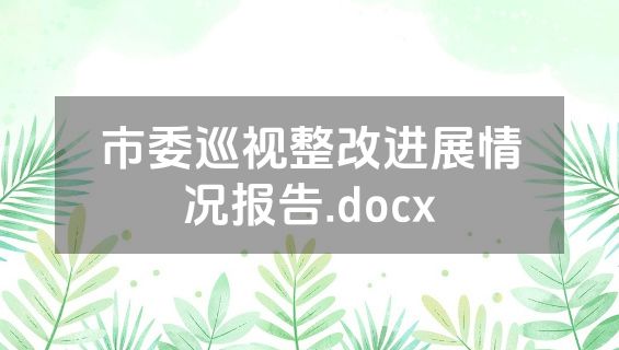 市委巡视整改进展情况报告.docx