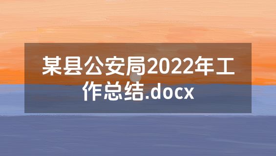 某县公安局2022年工作总结.docx