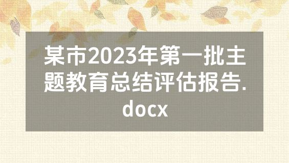 某市2023年第一批主题教育总结评估报告.docx
