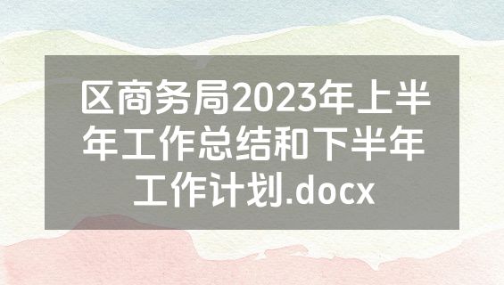 区商务局2023年上半年工作总结和下半年工作计划.docx