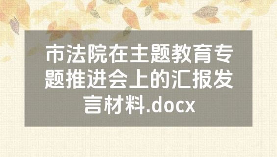 市法院在主题教育专题推进会上的汇报发言材料.docx