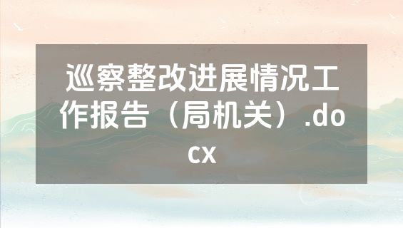 巡察整改进展情况工作报告（局机关）.docx