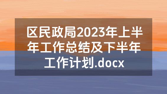 区民政局2023年上半年工作总结及下半年工作计划.docx