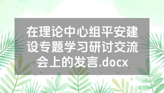 在理论中心组平安建设专题学习研讨交流会上的发言.docx
