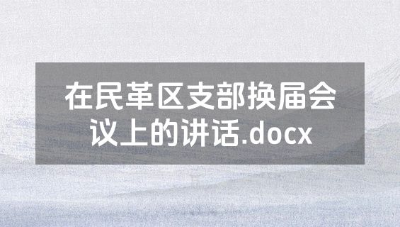 在民革区支部换届会议上的讲话.docx