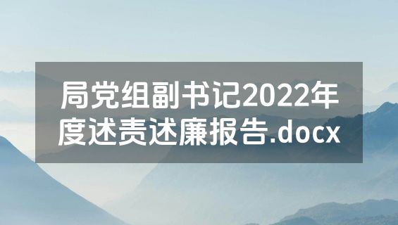 局党组副书记2022年度述责述廉报告.docx