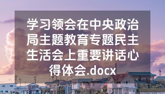 学习领会在中央政治局主题教育专题民主生活会上重要讲话心得体会.docx