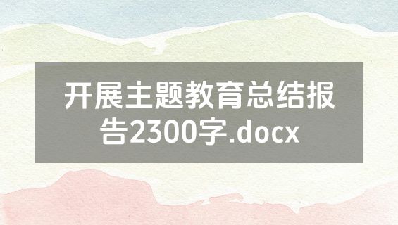 开展主题教育总结报告2300字.docx
