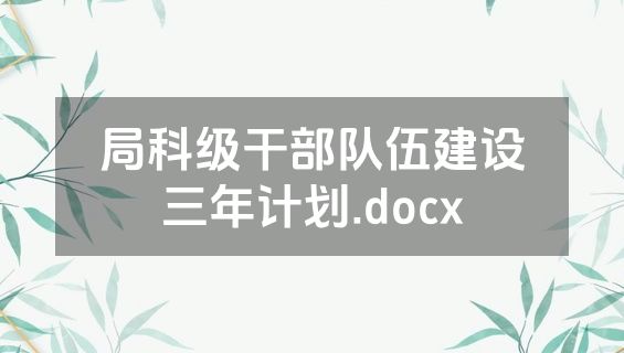 局科级干部队伍建设三年计划.docx
