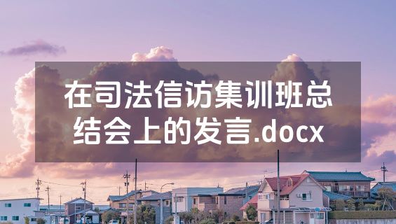 在司法信访集训班总结会上的发言.docx