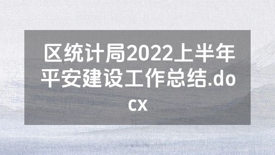 区统计局2022上半年平安建设工作总结.docx