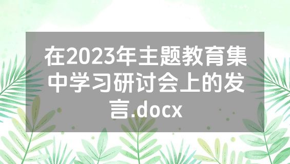 在2023年主题教育集中学习研讨会上的发言.docx