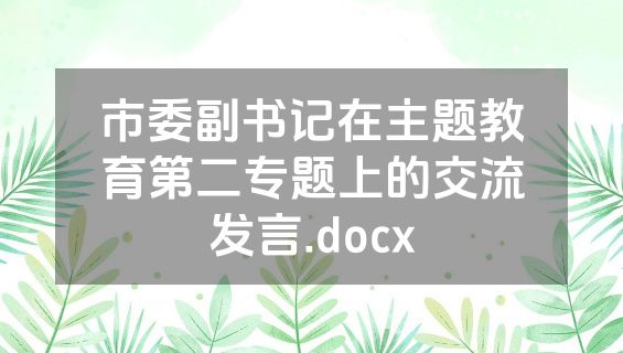 市委副书记在主题教育第二专题上的交流发言.docx