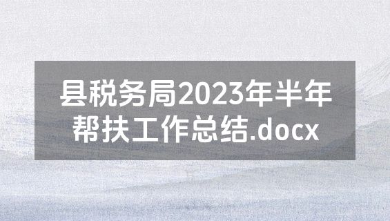 县税务局2023年半年帮扶工作总结.docx