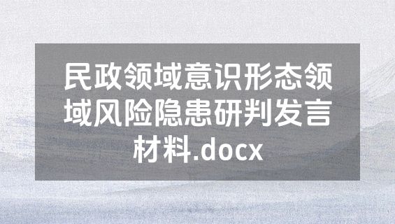 民政领域意识形态领域风险隐患研判发言材料.docx