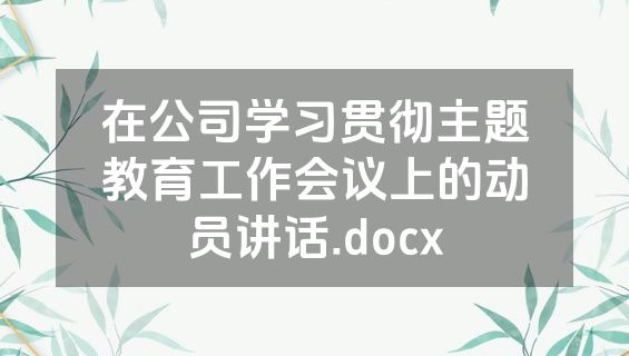 在公司学习贯彻主题教育工作会议上的动员讲话.docx