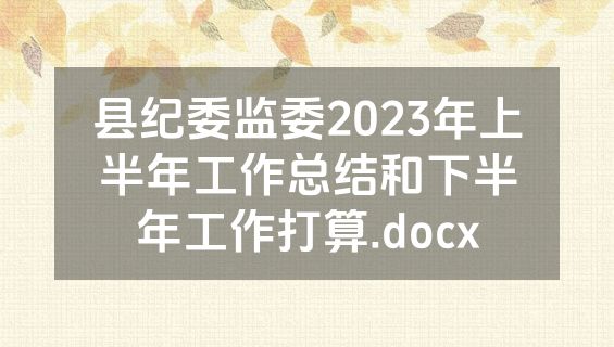 县纪委监委2023年上半年工作总结和下半年工作打算.docx