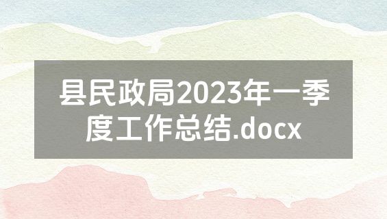 县民政局2023年一季度工作总结.docx