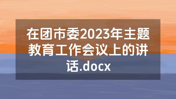 在团市委2023年主题教育工作会议上的讲话.docx