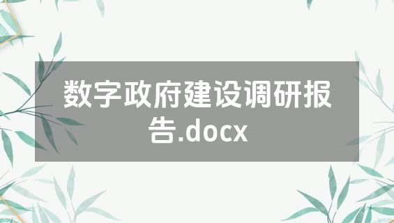 数字政府建设调研报告.docx