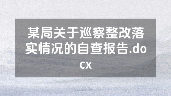某局关于巡察整改落实情况的自查报告.docx