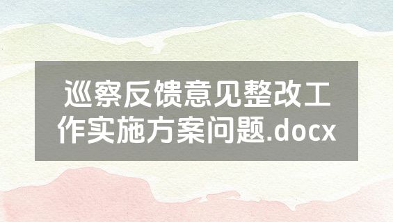 巡察反馈意见整改工作实施方案问题.docx