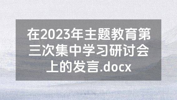 在2023年主题教育第三次集中学习研讨会上的发言.docx