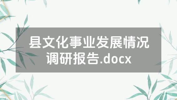 县文化事业发展情况调研报告.docx