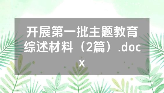 开展第一批主题教育综述材料（2篇）.docx