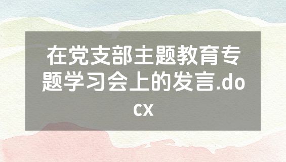 在党支部主题教育专题学习会上的发言.docx
